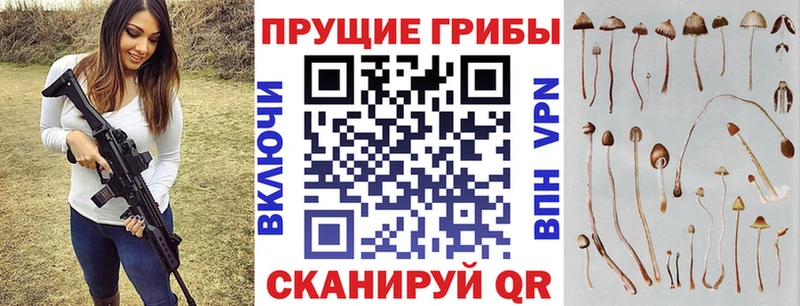 где купить   Белая Холуница  Псилоцибиновые грибы MAGIC MUSHROOMS 